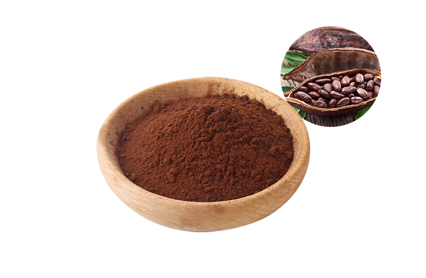 Best Cocoa Powder